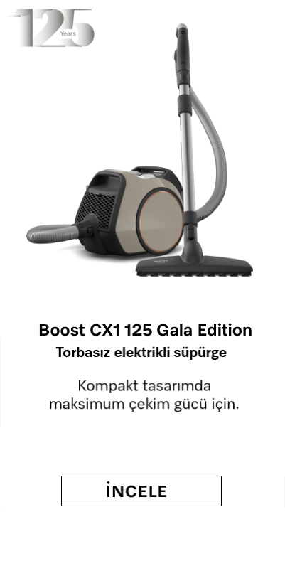 urun - Boost CX 1 125 Gala Edition.png (74 KB)